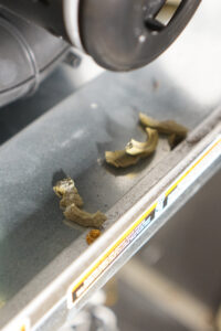 Broken gasket pieces removed from the Carrier furnace during the leak repair
