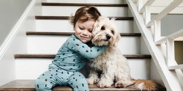 Boy hugging little white dog on stairs